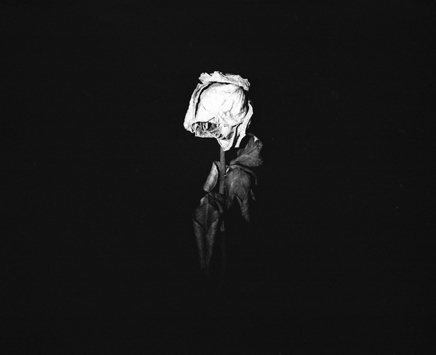https://liushukui.com/files/gimgs/40_11.jpg