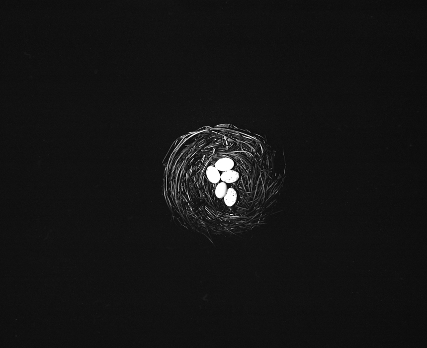 https://liushukui.com/files/gimgs/40_9.jpg